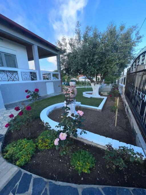 Villa Fabiola Vergia Ngoại thất bức ảnh